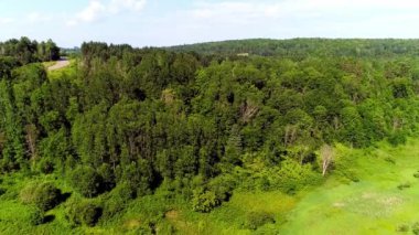Çimlerin yanında tepeden tırnağa uçuyor