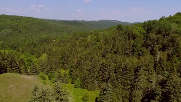 Flygfoto avslöjar landskapet och floden i skogen — Stockvideo