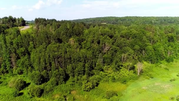 Volare giù dall'alto verso il basso vicino all'erba — Video Stock