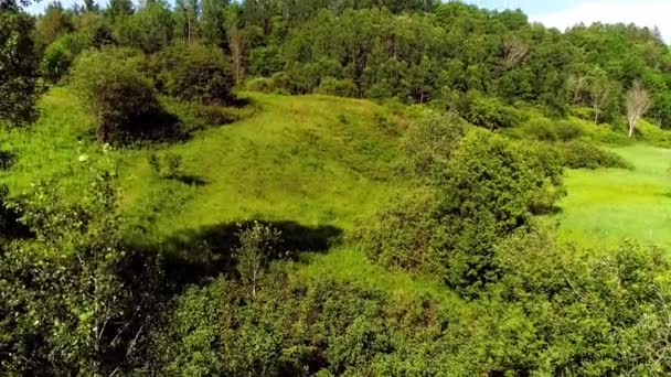 Volando sobre el campo de izquierda a derecha — Vídeos de Stock