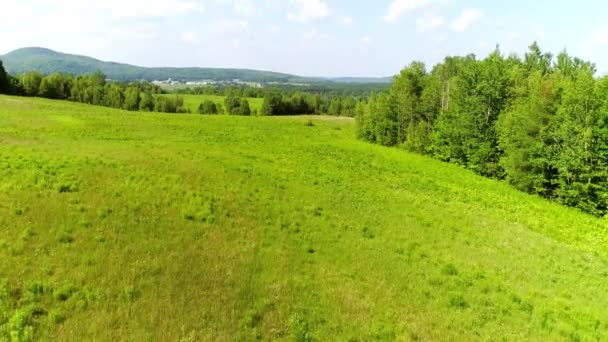 Vliegen naar voren boven het gras onthullen het landschap rond in het land. — Stockvideo