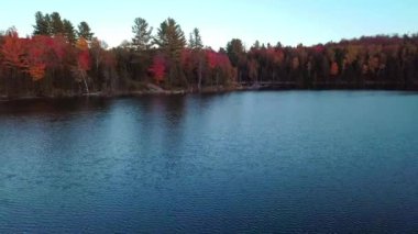 Laurentians, Quebec 'te sonbaharda gölün üzerinden renkli ağaçlara doğru alçaktan uçuyor.