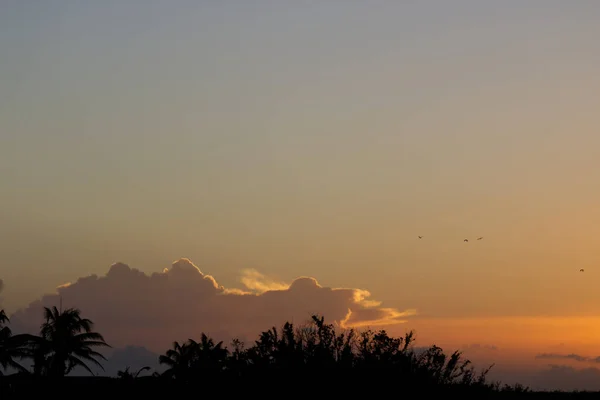 Peaceful and relaxing sunset with a partly clear sky with birds flying