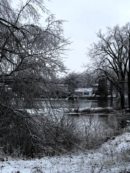 Porträtansicht Einer Winterlandschaft Der Nähe Des Flusses Mit Eisbedeckten Bäumen — Stockfoto
