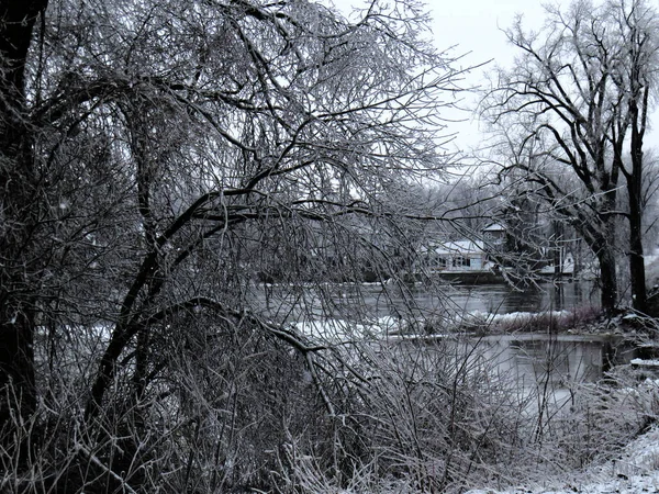 Winterlandschaft Mit Eisbedeckten Bäumen Der Nähe Des Flusses Einem Trüben — Stockfoto