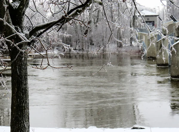 Hängende Eisbedeckte Äste Winter Mit Dem Fluss Hintergrund — Stockfoto