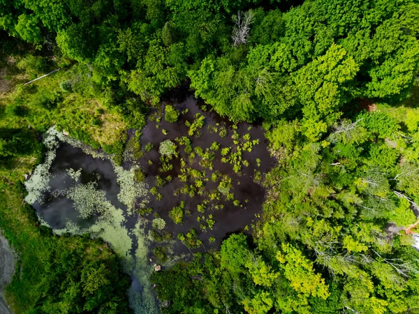 Göle yukarıdan bakıyorum.
