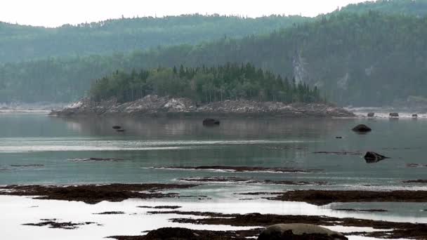 Avkopplande natur i Bic Park, Quebec, avslöjar det lugna vattnet — Stockvideo