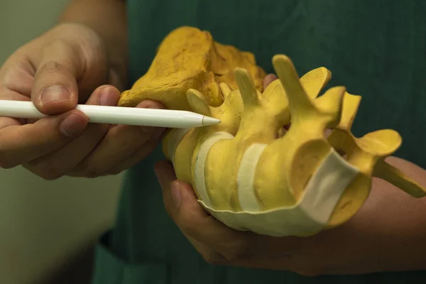 Médico Usando Uma Caneta Branca Para Demonstrar Anatomia Modelo Coluna — Fotografia de Stock