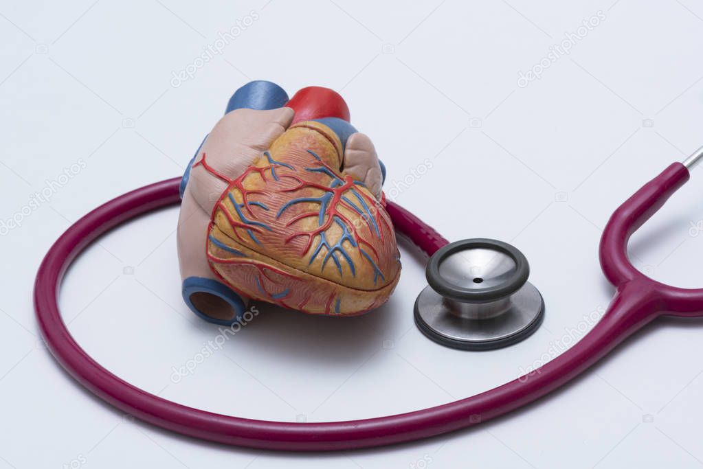 Human heart model and a red stethoscope on the table  in the medical office