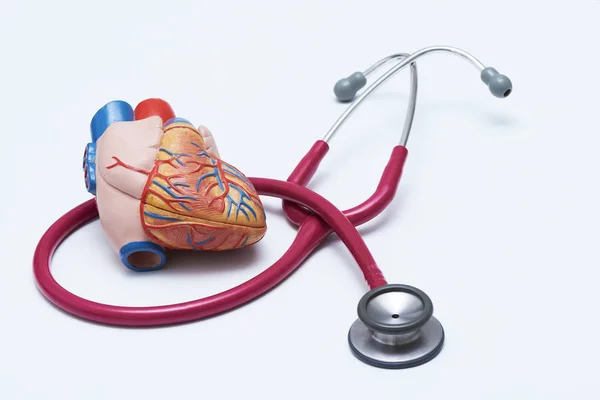 Menselijk Hart Model Een Rode Stethoscoop Tafel Medische Kantoor — Stockfoto