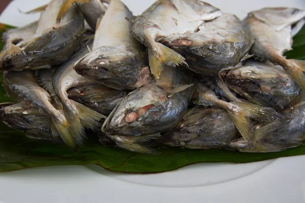 Boiled mackerels from Maeklong river,identifing by their crooked heads and bent necks, on banana leaf and plate