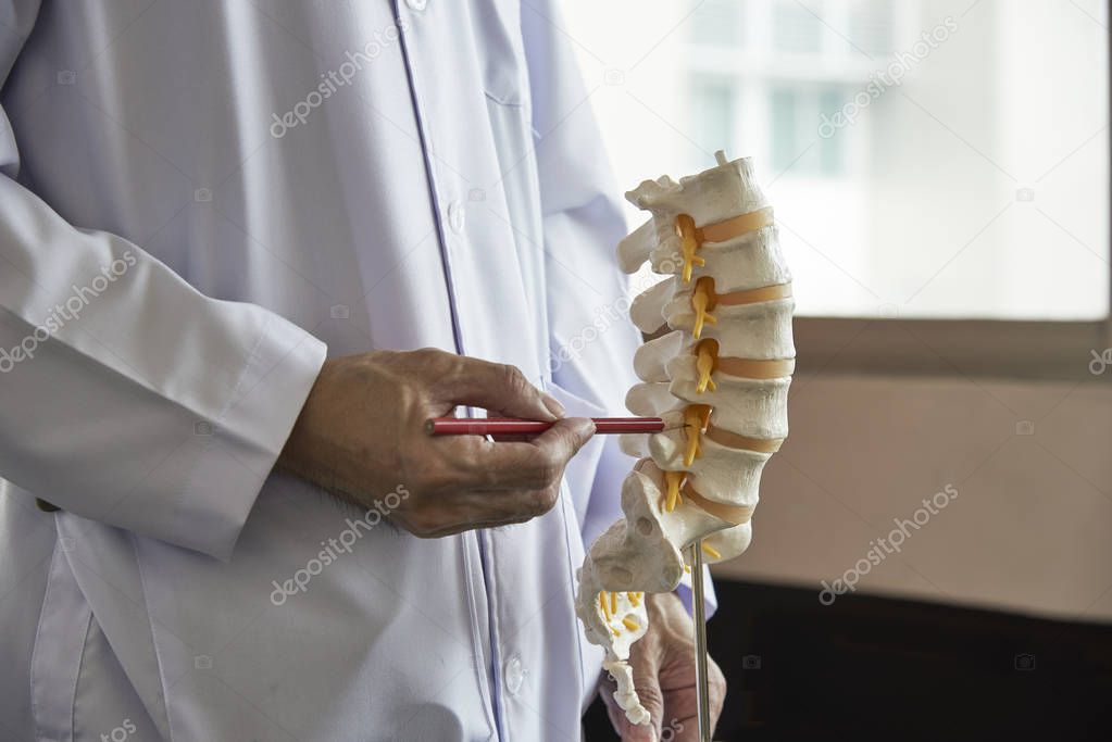 A neurosurgeon using pencil pointing at lumbar vertebra model in medical office 