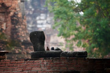 Eski Buda heykelleri Ayutthaya tarihsel Park'ta başı kesilmiş. Harabe duvarlar inşa arka plan.