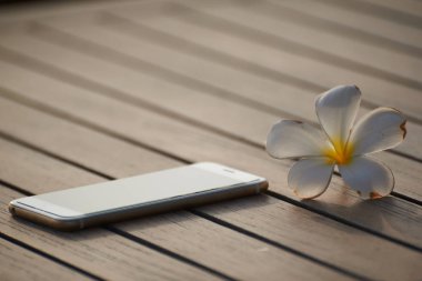 Bir akıllı telefon ve beyaz plumeria alba ahşap tablo