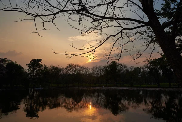 Hintergrund Des Schönen Sonnenuntergangs Park Reflexion Der Bäume Und Der — Stockfoto