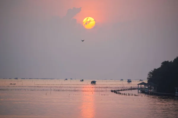 Сцена Восхода Солнца Над Океаном Летающей Птицы Дома Рыбаков Лодочные — стоковое фото