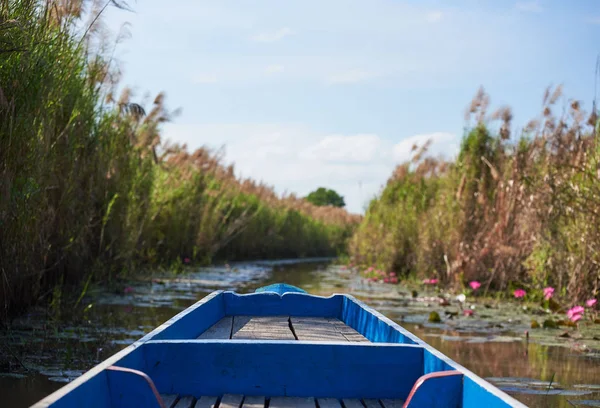 Escena Hierba Lado Del Lago Lotos Rosados Barco Turístico Fondo —  Fotos de Stock