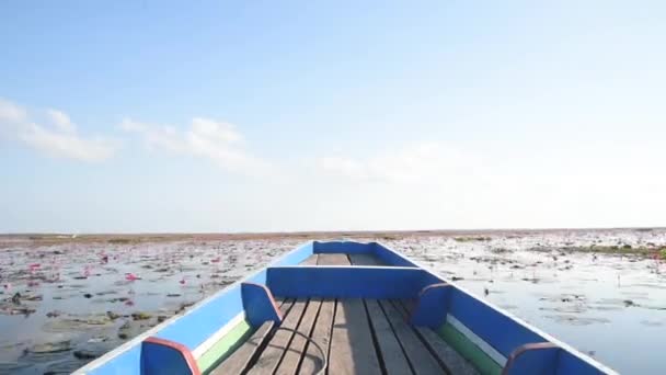 旅游长尾船上的粉红莲花田场景 — 图库视频影像