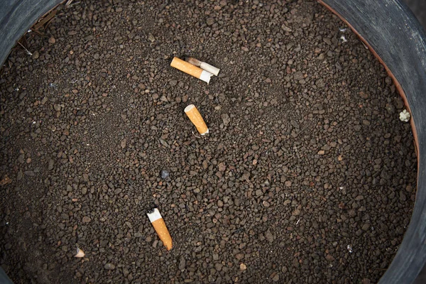 Сигарети закриті в піщаній попільничці — стокове фото