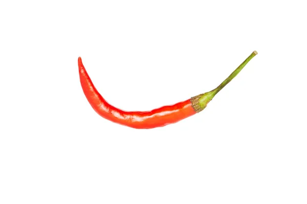 Eine rote Chili isoliert auf weißem Hintergrund — Stockfoto