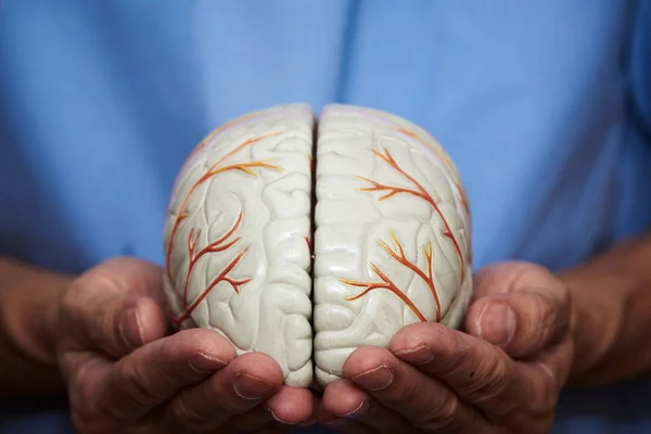 Concepto médico de cuidar el cerebro — Foto de Stock