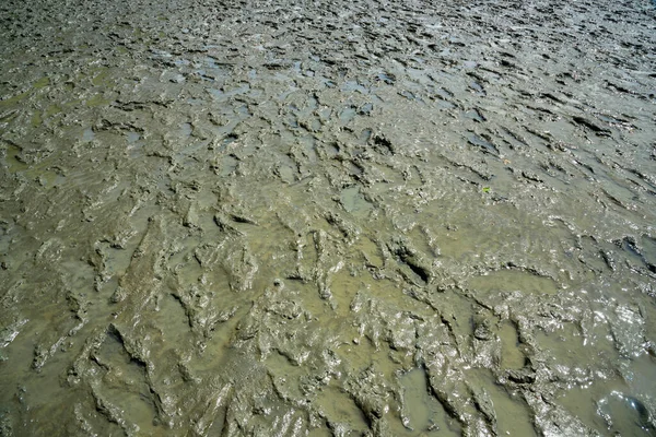 Hintergrundtextur Von Schlamm Nach Ebbe Strand — Stockfoto