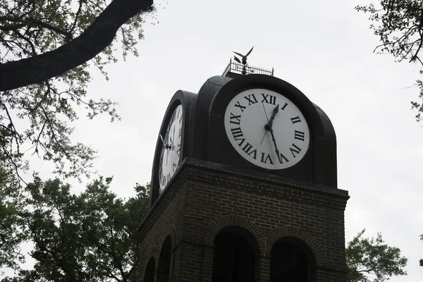 Πύργος Ρολογιού Στο Downtown Gainesville Φλώριδα Σπίτι Από Πανεπιστήμιο Της — Φωτογραφία Αρχείου