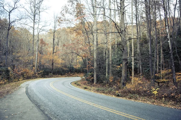 Vägen Genom Bergen North Carolina — Stockfoto