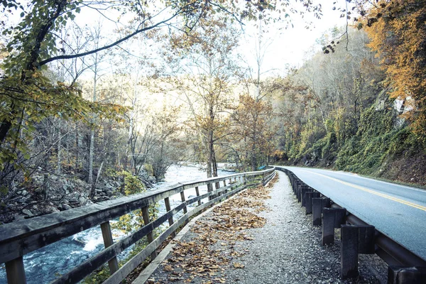 Vägen Genom Bergen North Carolina — Stockfoto