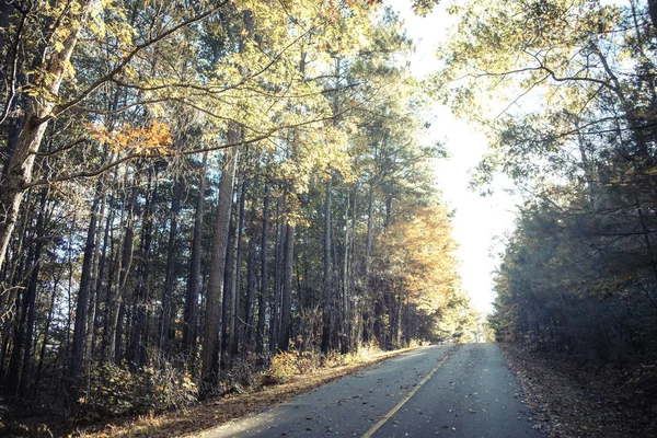 Закохатися Північній Кароліні Blue Ridge Mountains — стокове фото