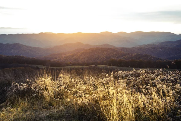 Oprava Max Blue Ridge Mountains Severní Karolíně — Stock fotografie