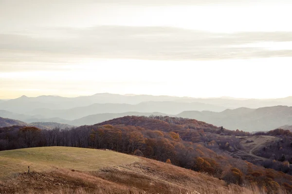 Макс Патч Blue Ridge Mountains Північна Кароліна — стокове фото