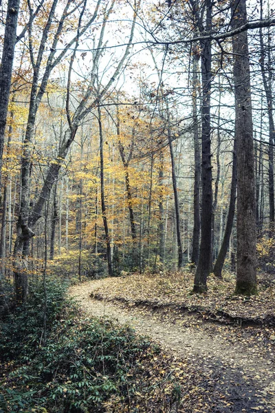 Podzim Severní Karolíně Blue Ridge Mountains — Stock fotografie