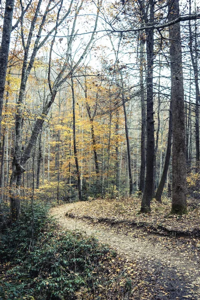 Falla North Carolina Blue Ridge Mountains — Stockfoto