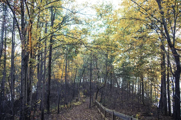 Falla North Carolina Blue Ridge Mountains — Stockfoto