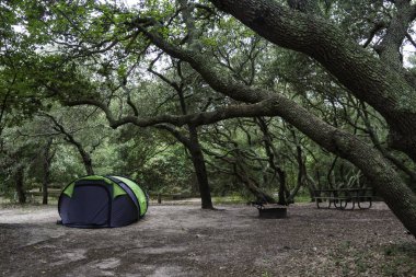 İlk açılış State Park Virginia içinde kamp