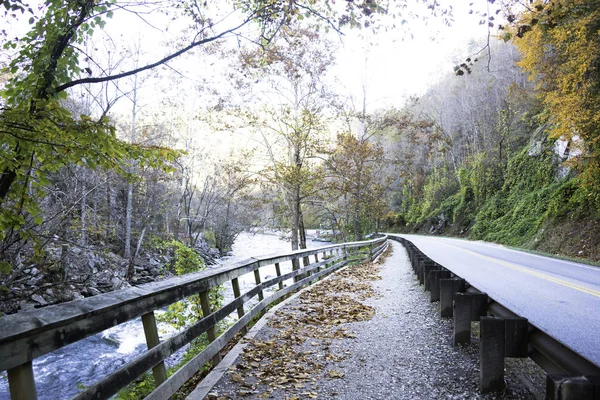 Fall Nantahala National Forest — Stock Photo, Image