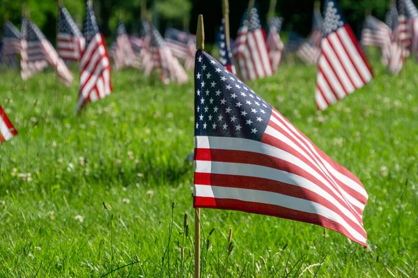 Bandiere Nel Cimitero Pittsburgh — Foto Stock