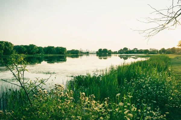 Uitzicht Detroit Vanaf Belle Isle Zomer — Stockfoto