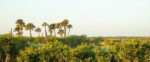 Merritt Island Divoký Úkryt Noci — Stock fotografie