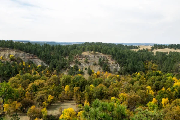 Queda Wyoming Com Árvores Amarelas Verdes Vibrantes — Fotografia de Stock