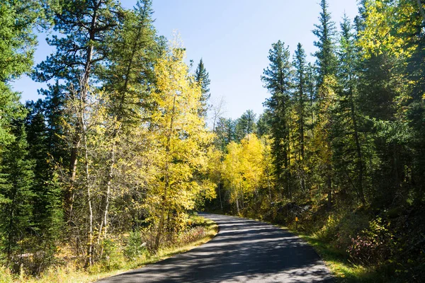 Strada Attraverso Custer State Park Nelle Black Hills — Foto Stock