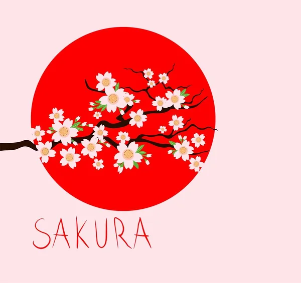 Primavera Fundo Japonês Com Desabrochar Cereja Sakura Brunches Árvore Letras Gráficos Vetores