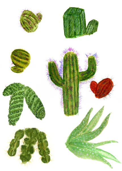 Cacto Aquarela Desenhado Mão Ilustração Suculenta Planta — Fotografia de Stock