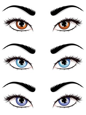 Beyaz arka plan üzerinde uzun kirpiklerini çizim ile detaylı kadın gözleri.