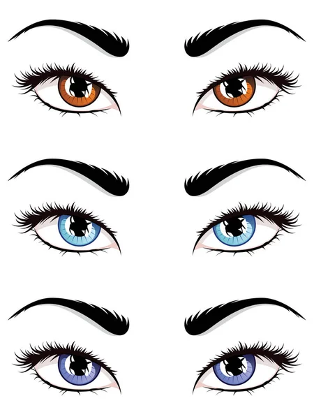 白い背景の上の長いまつげ図と詳細な女性の目 — ストックベクタ