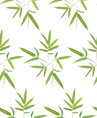 Orman bitkileri, Yeşil Bambu desen tasarım arka plan bırakır..