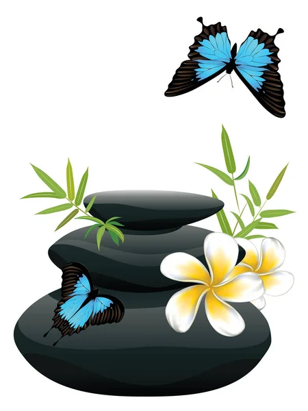Zen stones heap with bamboo leaves and flower on white background.