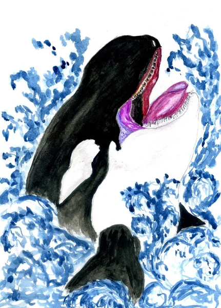 Baleine Dessin Animé Dessinée Main Illustration Aquarelle Colorée — Photo